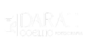 darah coelho fotografia